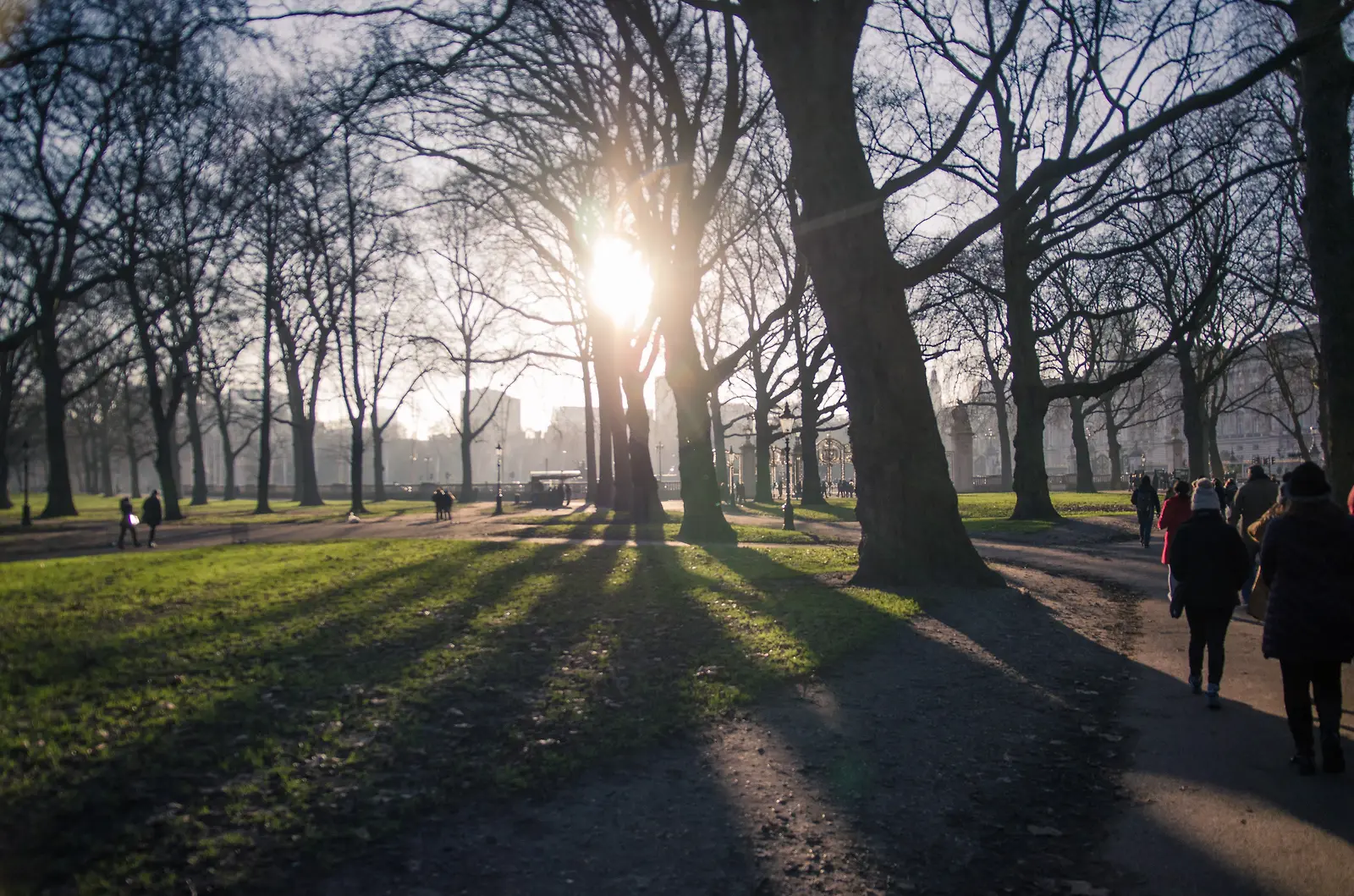 버킹엄궁으로 가던 길에 가로지른 Green Park