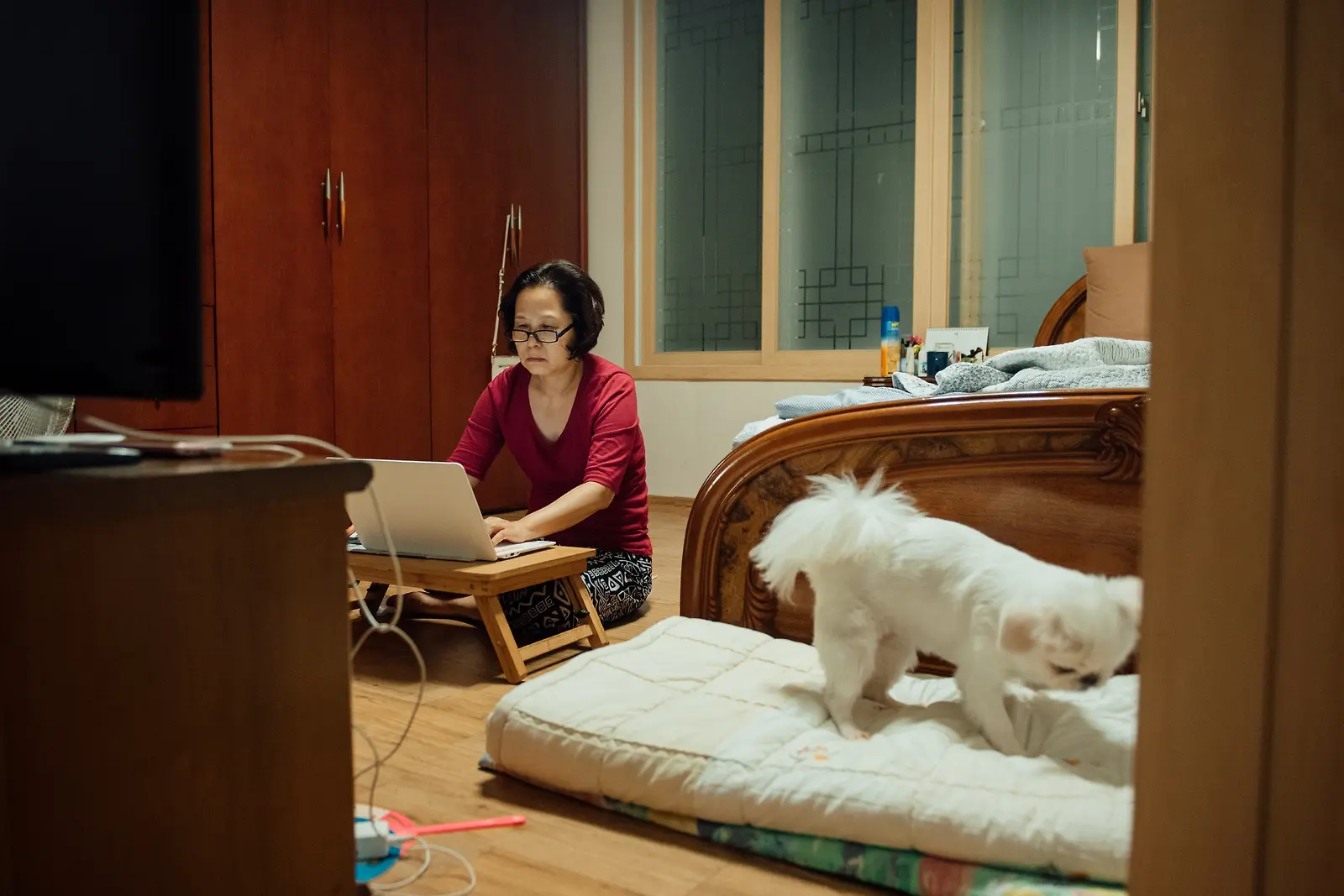 방 한쪽에서 노트북을 사용하는 어머니와 침대 위 흰색 반려견